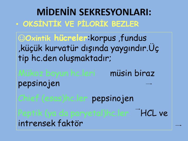 MİDENİN SEKRESYONLARI: OKSİNTİK VE PİLORİK BEZLER    ☺Oxintik hücreler:korpus ,fundus ,küçük kurvatür